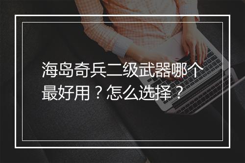 海岛奇兵二级武器哪个最好用？怎么选择？