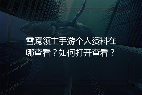雪鹰领主手游个人资料在哪查看？如何打开查看？