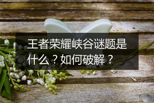 王者荣耀峡谷谜题是什么?如何破解?