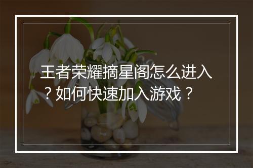 王者荣耀摘星阁怎么进入?如何快速加入游戏?