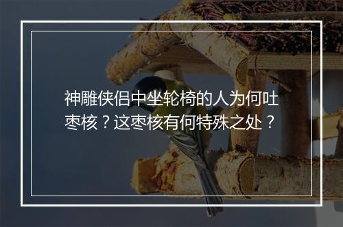 神雕侠侣中坐轮椅的人为何吐枣核?这枣核有何特殊之处?