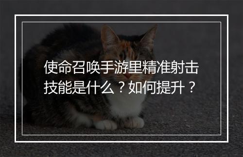 使命召唤手游里精准射击技能是什么?如何提升?