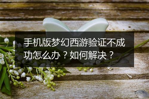 手机版梦幻西游验证不成功怎么办?如何解决?