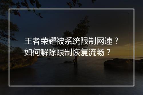王者荣耀被系统限制网速?如何解除限制恢复流畅?