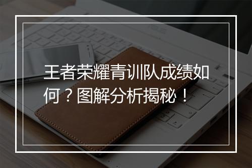 王者荣耀青训队成绩如何？图解分析揭秘！