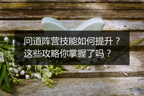 问道阵营技能如何提升?这些攻略你掌握了吗?