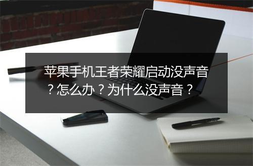 苹果手机王者荣耀启动没声音？怎么办？为什么没声音？