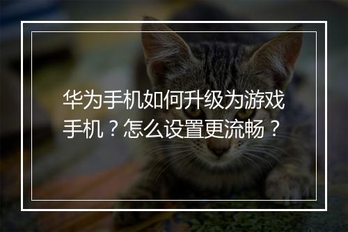 华为手机如何升级为游戏手机?怎么设置更流畅?