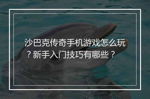 沙巴克传奇手机游戏怎么玩?新手入门技巧有哪些?