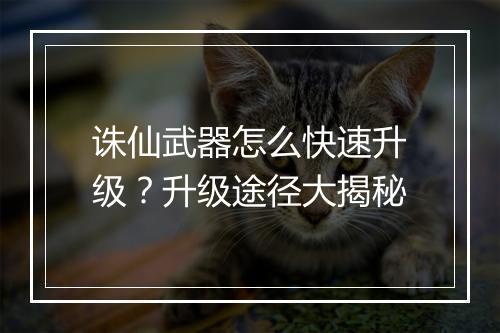 诛仙武器怎么快速升级?升级途径大揭秘