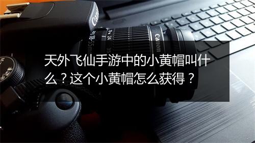 天外飞仙手游中的小黄帽叫什么?这个小黄帽怎么获得?
