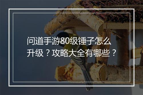 问道手游80级锤子怎么升级?攻略大全有哪些?