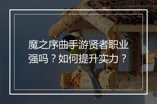 魔之序曲手游贤者职业强吗?如何提升实力?
