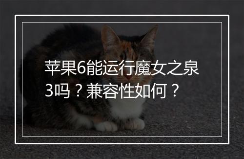 苹果6能运行魔女之泉3吗？兼容性如何？