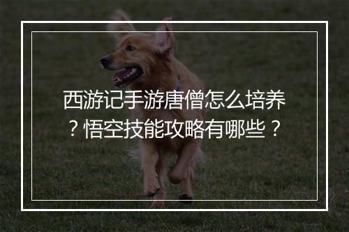 西游记手游唐僧怎么培养?悟空技能攻略有哪些?