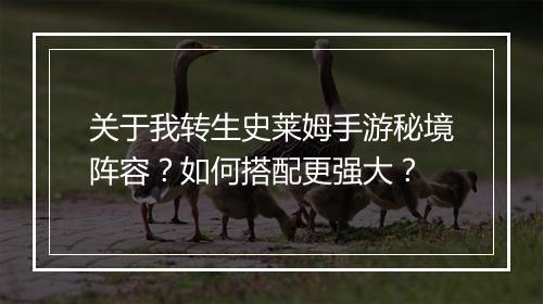 关于我转生史莱姆手游秘境阵容？如何搭配更强大？