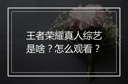 王者荣耀真人综艺是啥?怎么观看?