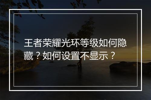 王者荣耀光环等级如何隐藏?如何设置不显示?