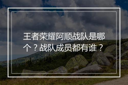 王者荣耀阿顺战队是哪个?战队成员都有谁?