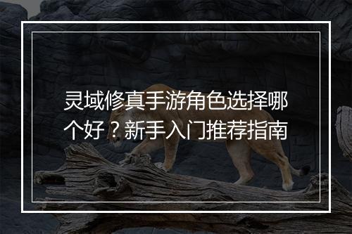 灵域修真手游角色选择哪个好？新手入门推荐指南