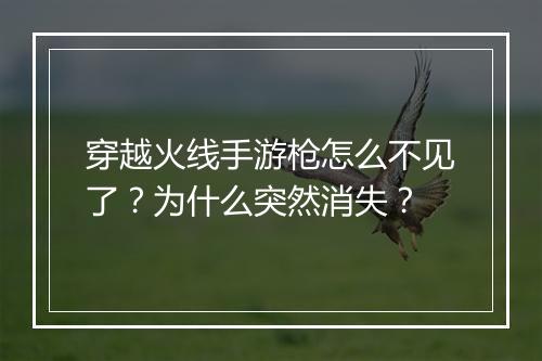 穿越火线手游枪怎么不见了?为什么突然消失?