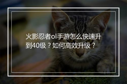 火影忍者ol手游怎么快速升到40级？如何高效升级？