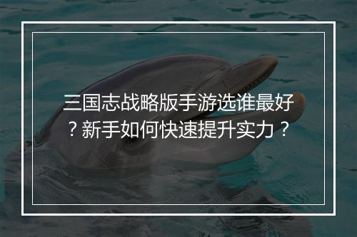 三国志战略版手游选谁最好?新手如何快速提升实力?
