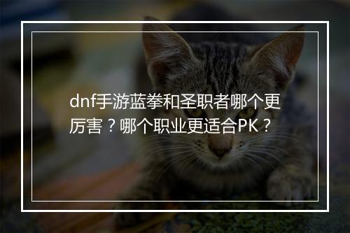 dnf手游蓝拳和圣职者哪个更厉害？哪个职业更适合PK？