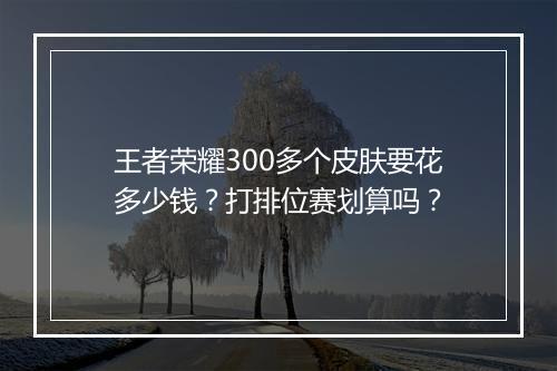 王者荣耀300多个皮肤要花多少钱?打排位赛划算吗?