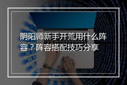 阴阳师新手开荒用什么阵容?阵容搭配技巧分享