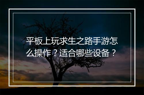 平板上玩求生之路手游怎么操作?适合哪些设备?