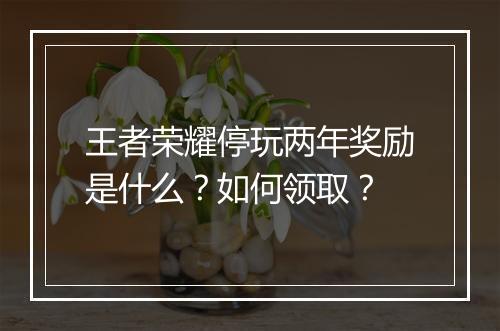 王者荣耀停玩两年奖励是什么?如何领取?