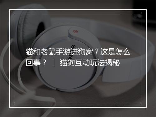 猫和老鼠手游进狗窝?这是怎么回事? | 猫狗互动玩法揭秘