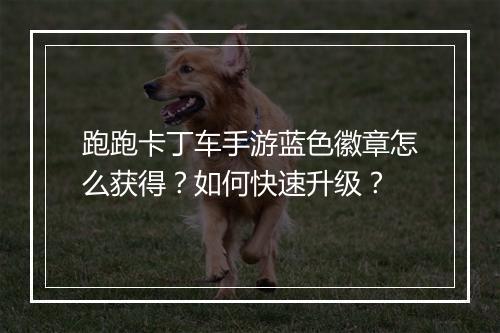 跑跑卡丁车手游蓝色徽章怎么获得?如何快速升级?