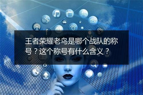 王者荣耀老鸟是哪个战队的称号?这个称号有什么含义?