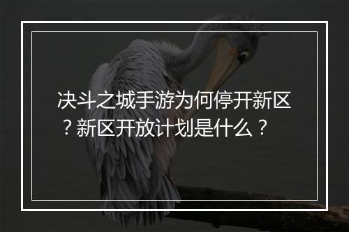 决斗之城手游为何停开新区?新区开放计划是什么?