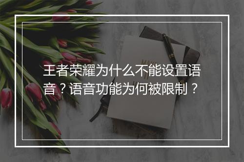 王者荣耀为什么不能设置语音?语音功能为何被限制?
