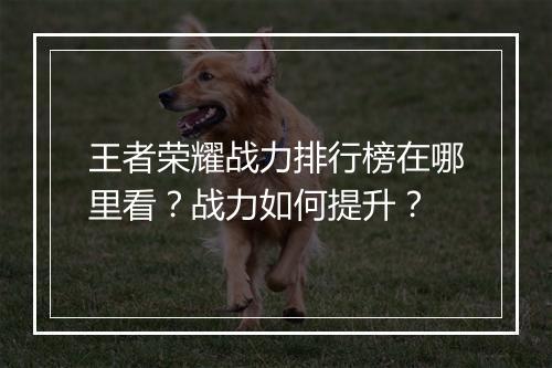 王者荣耀战力排行榜在哪里看?战力如何提升?