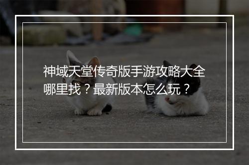 神域天堂传奇版手游攻略大全哪里找?最新版本怎么玩?