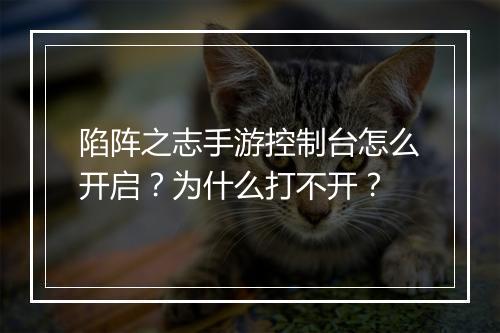 陷阵之志手游控制台怎么开启？为什么打不开？