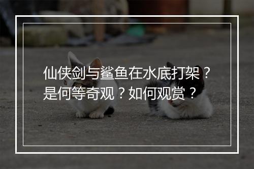 仙侠剑与鲨鱼在水底打架?是何等奇观?如何观赏?