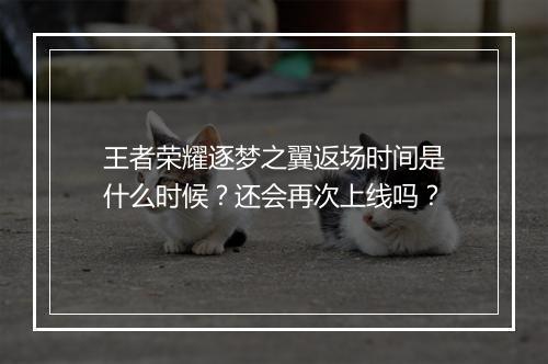 王者荣耀逐梦之翼返场时间是什么时候?还会再次上线吗?