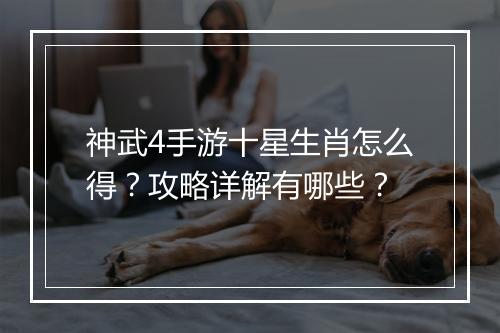 神武4手游十星生肖怎么得?攻略详解有哪些?