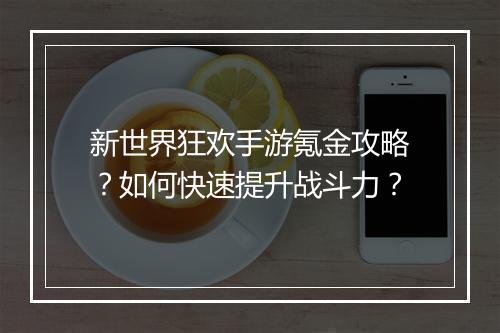 新世界狂欢手游氪金攻略?如何快速提升战斗力?