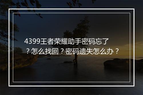 4399王者荣耀助手密码忘了?怎么找回?密码遗失怎么办?