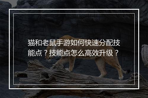 猫和老鼠手游如何快速分配技能点?技能点怎么高效升级?