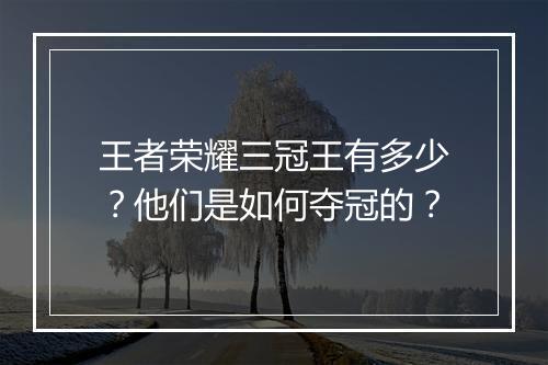 王者荣耀三冠王有多少?他们是如何夺冠的?