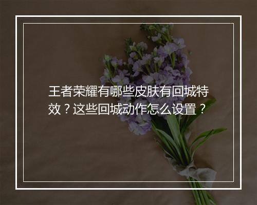 王者荣耀有哪些皮肤有回城特效？这些回城动作怎么设置？