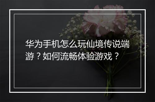 华为手机怎么玩仙境传说端游？如何流畅体验游戏？