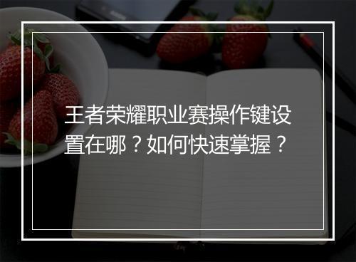 王者荣耀职业赛操作键设置在哪？如何快速掌握？